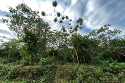Terreno en venta - emboscada — foto 4