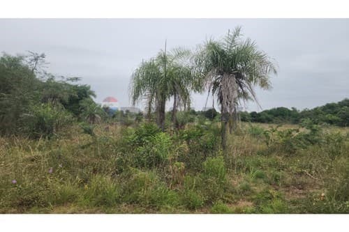 Terreno en Venta Ypacaraí, Zona Hugua Hu — foto 2