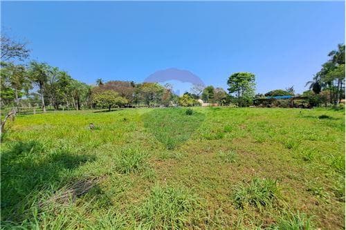 2.503 m2 en loma guasu - ca acupe — foto 4