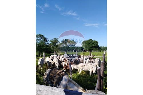 Estancia en canindeyu — foto 5