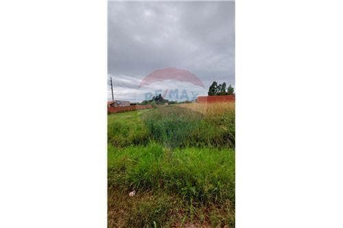 5 terrenos en villeta fracción las leñas, foto 2
