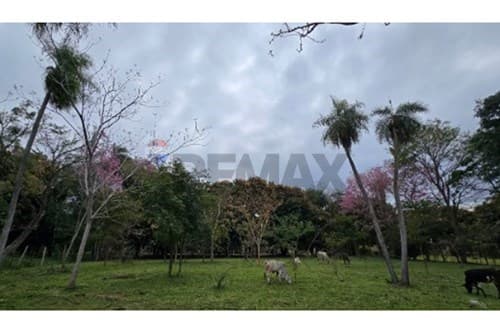 2 Has + 1.588 m² en Patiño, Itauguá, foto 2