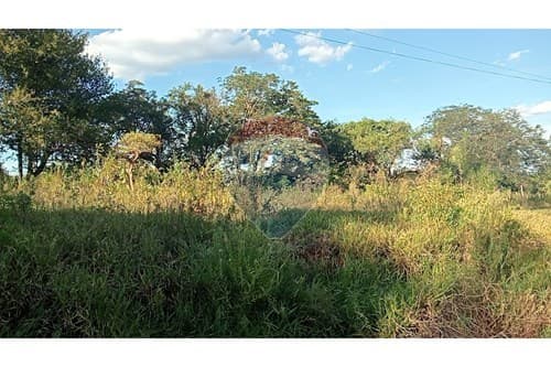 En venta terreno en toledo cañada — foto 3