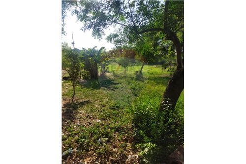 Hermoso Terreno en Julian Augusto Saldivar — foto 5