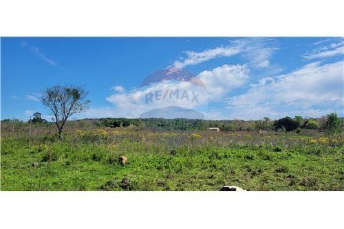 En venta terrenos en la ciudad de loma grande