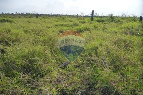 Estancia de 493 hectareas en pte hayes — foto 3