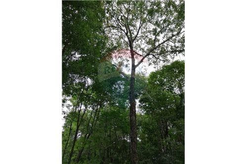 750 m2 de terreno a 13 km de Encarnacion