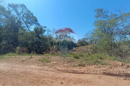 Propiedad de 1 hectárea mas 852 M2 en Tobati — foto 4