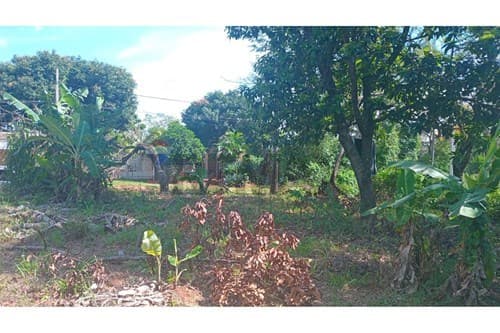 - terreno - Ñemby — foto 5