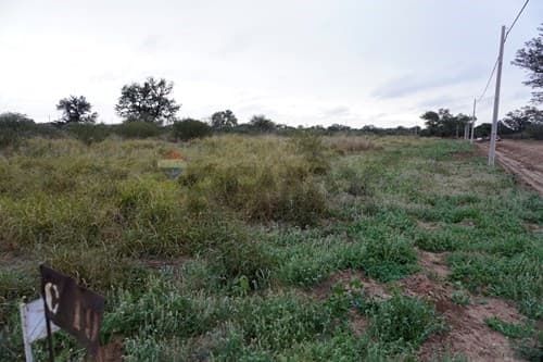 Terreno Residencial en Filadelfia, foto 1