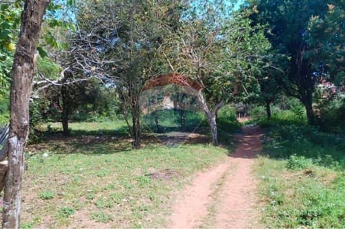 ¡Terreno Plano en Capiatá con Gran Potencial!, foto 2
