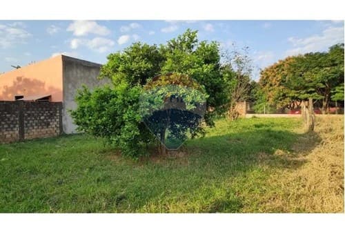 "Terreno Ideal: Inversión en Caaguazú" — foto 3