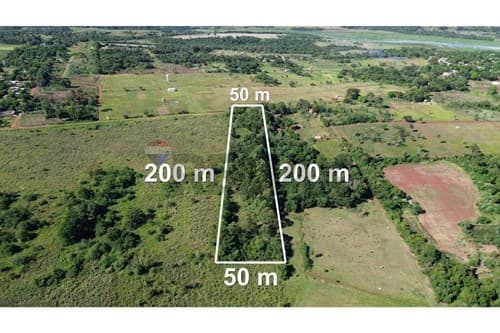 Terreno de 1 Hectárea — foto 3