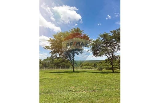 Terreno de 1.200 m2 en Nueva Colonia — foto 4