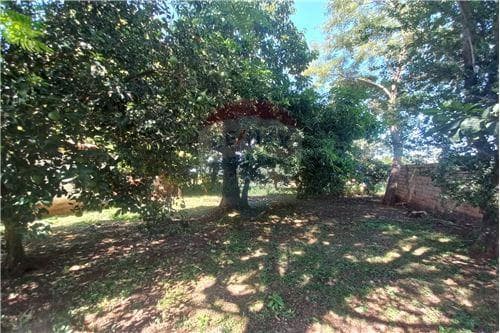 Terreno en san juan del parana, vista al rio, foto 4