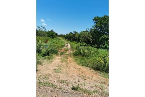 Oportunidad de inversión (3 Ha y 7.293 m²), foto 2