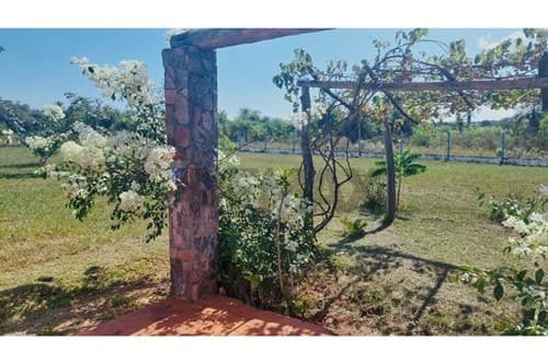 Casa de campo - venta - piribebuy — foto 4
