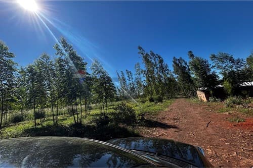 Hermoso campo eucaliptal en capitan miranda — foto 4