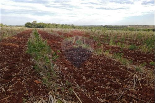 Terreno de 4 has. 0005 m2 ubicado en cambyretá — foto 2