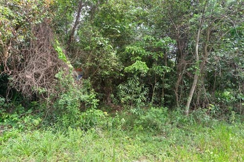 Terreno en venta - piribebuy — foto 4