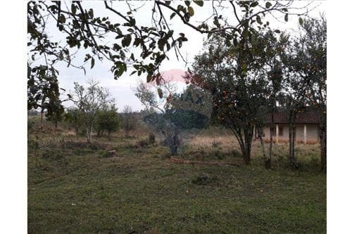 En venta/ 20 hectareas sobre ruta — foto 4