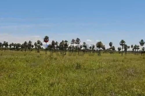 Land for sale in chaco’i – villa hayes