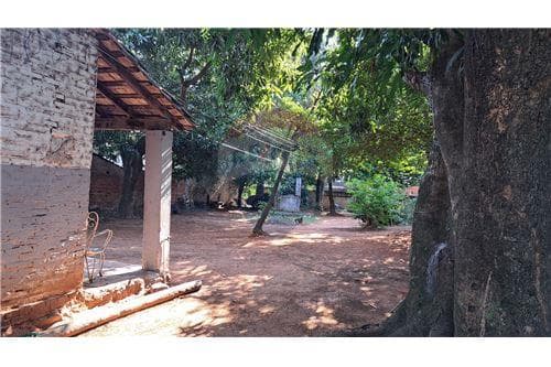 Terreno en lambare zona hiperpueblo — foto 4