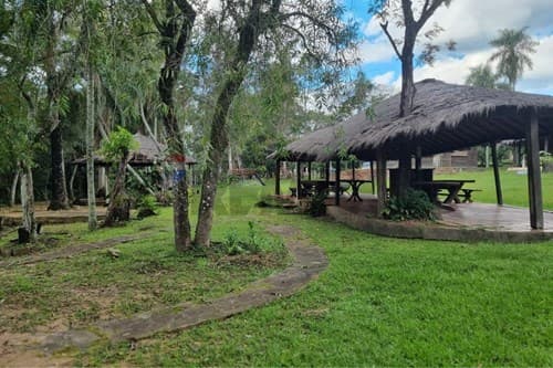 En venta 8 hectareas en zona caacupé — foto 5