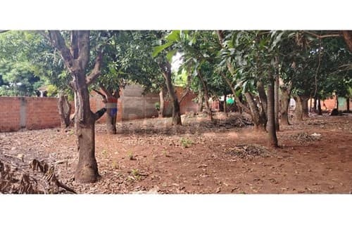 Terreno en venta – Zona Marin Ka'aguy, foto 4