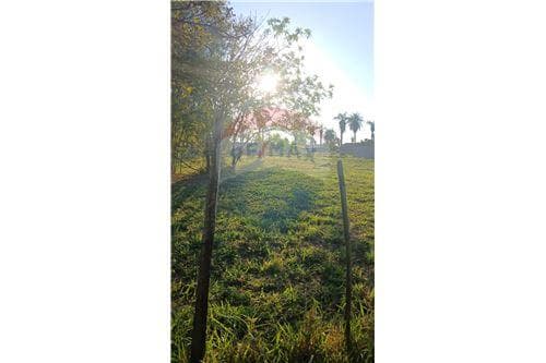 Terreno en itaugúa 65.ooo.ooo gs — foto 4
