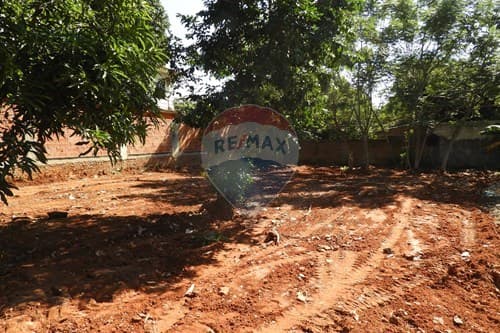 "Invierta en Terreno Ideal en Maka'i, Luque" — foto 5