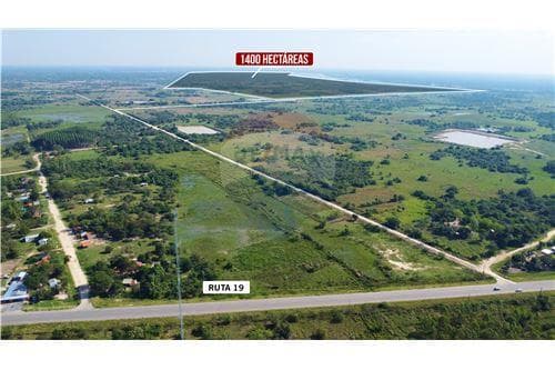 Vendo 1200 hectareas en Pilar