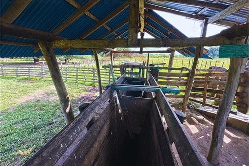 Campo en venta en Villa Franca — foto 3