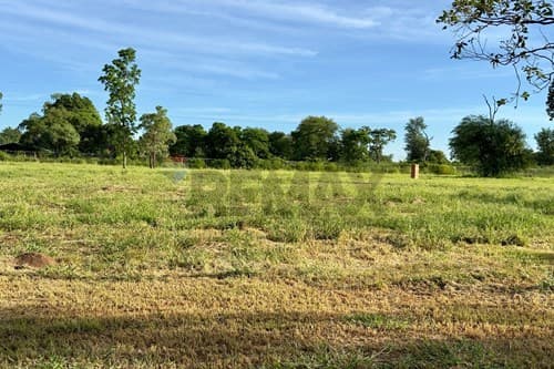 Lote en Filadelfia, foto 4