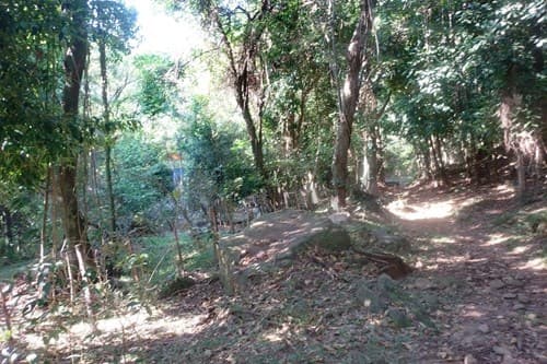 En venta terreno de 4 hectáreas en La Colmena, foto 4