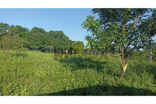 ¡Terreno en venta en Km 15 - Concepcion - Belen!
