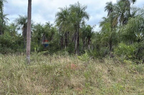 Oferta de Terreno: Tu Futuro En Caacupé Espera — foto 3