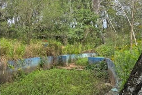 2 Has + 1.588 m² en Patiño, Itauguá, foto 5