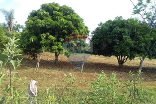 Vendo amplio terreno en itauguá