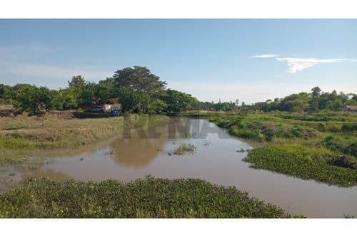 En venta propiedad de 4 hectáreas — foto 3