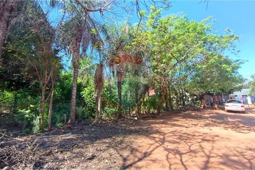 Terreno en isla bogado — foto 4
