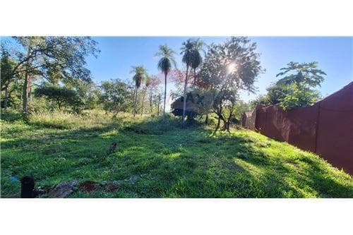 En venta dos hectarea Luque centro — foto 3
