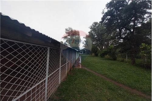 2 hermosos terrenos en ypacarai — foto 2