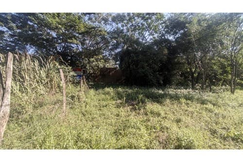 Terreno en Luque, Marin Ka'aguy — foto 3