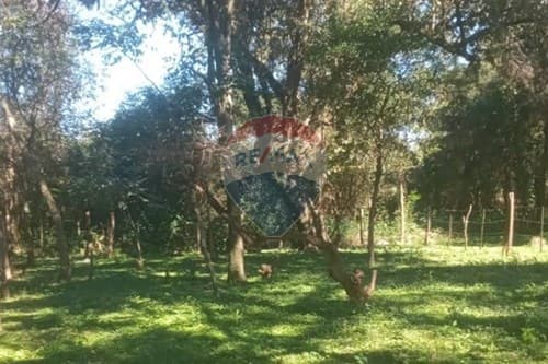 Terreno en Hermoso terreno, Encarnación — foto 2