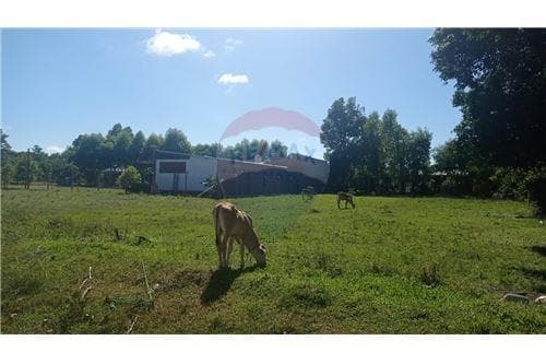 Terreno en Villa Florida — foto 4