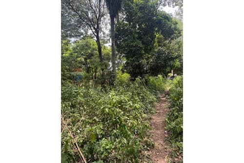 Oprtunidad de inversion terreno MRA — foto 2