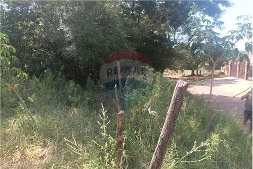 Terreno en aregua, foto 5
