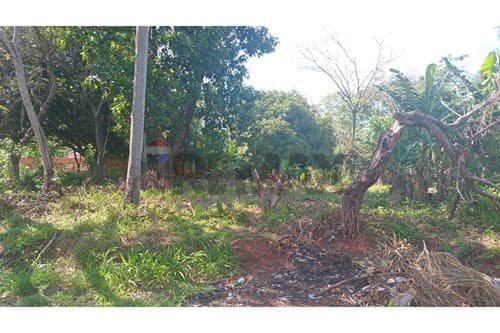 - terreno - Ñemby — foto 4