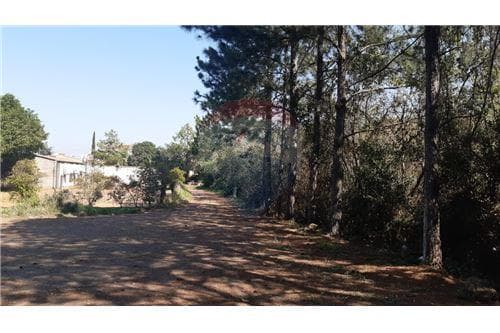 Depósito sobre ruta sexta — foto 3